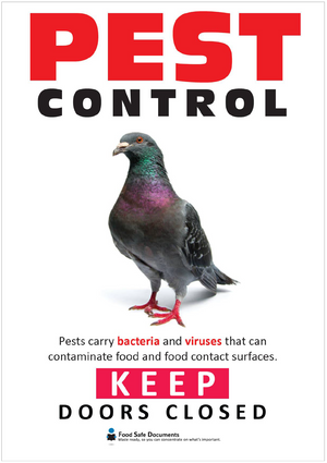 Pest Control - Pigeons