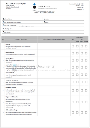 Audit Report [Supplier]