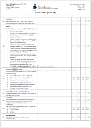 Audit Report [Supplier]