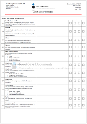 Audit Report [Supplier]