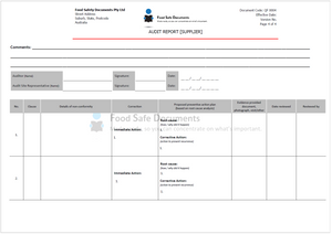 Audit Report [Supplier]
