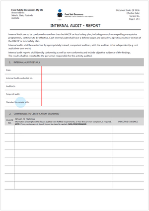 Internal Audit - Report