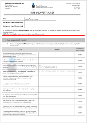 Site Security Audit