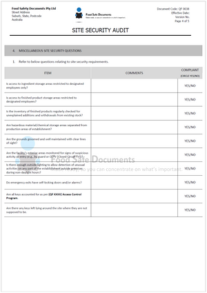 Site Security Audit
