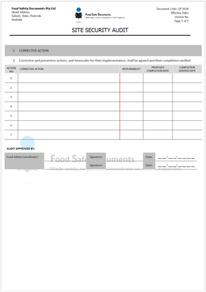 Site Security Audit